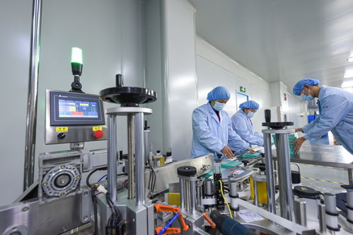 衡水新闻网 石家庄技术服务与技术开发新动向探析